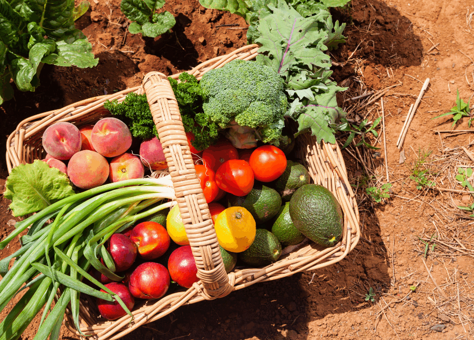 Dieta saludable con productos ecológicos