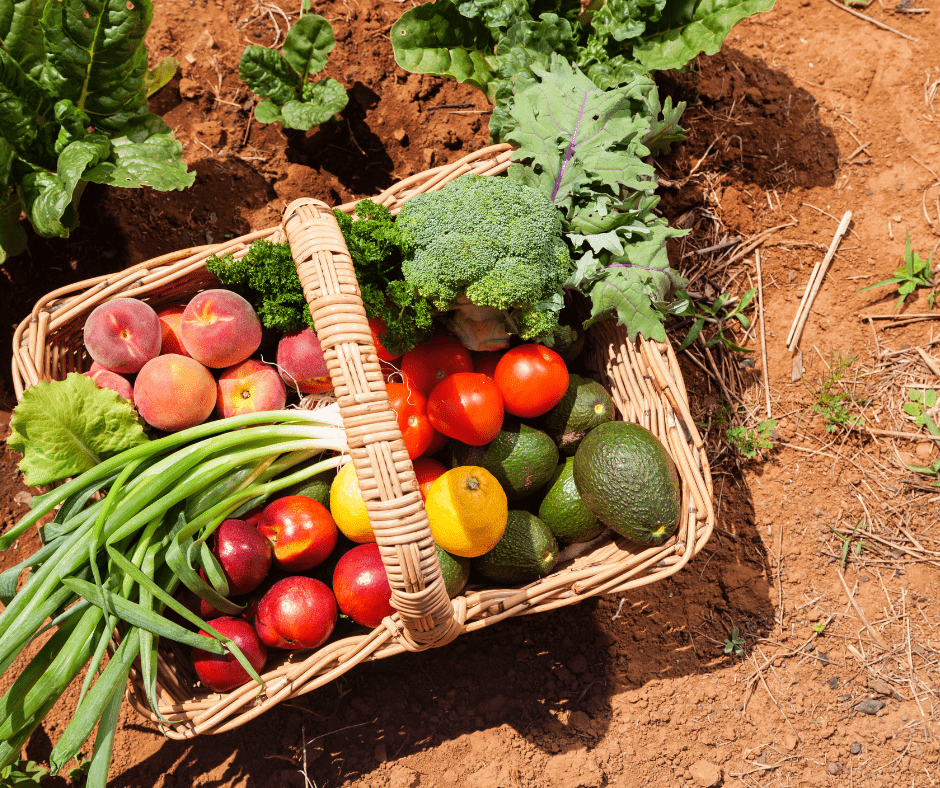Dieta saludable con productos ecológicos 